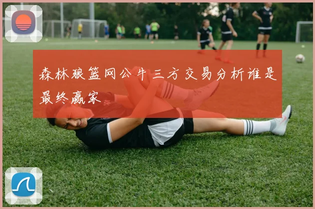 森林狼篮网公牛三方交易分析谁是最终赢家