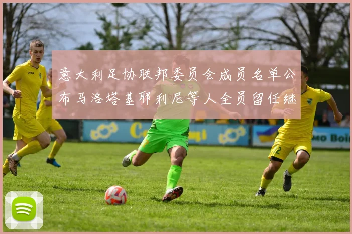 意大利足协联邦委员会成员名单公布马洛塔基耶利尼等人全员留任继续服务