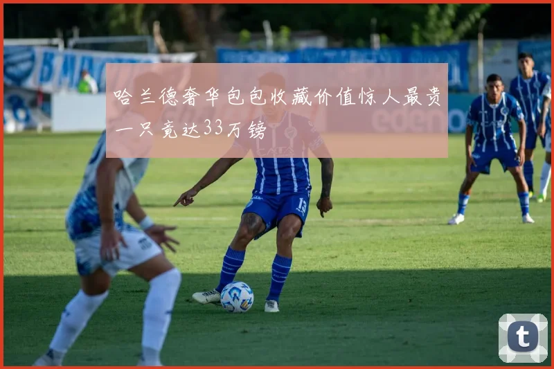 哈兰德奢华包包收藏价值惊人最贵一只竟达33万镑